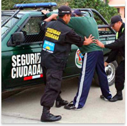 seguridad-ciudadana-ramos-davila